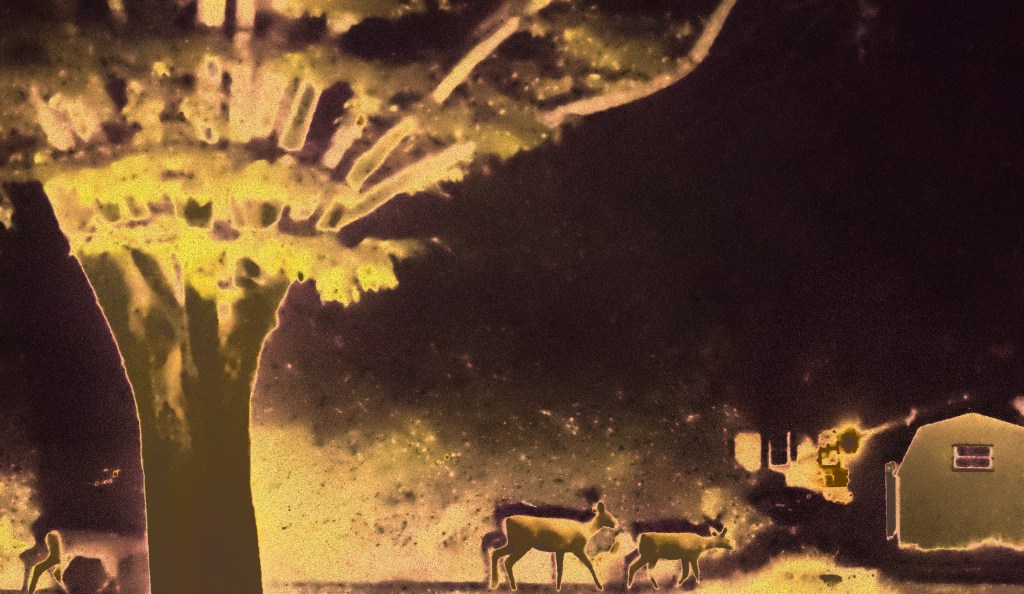 Fallout in Regards to Our&nbsp;Moon